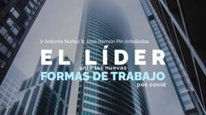 Habilidades de asesor