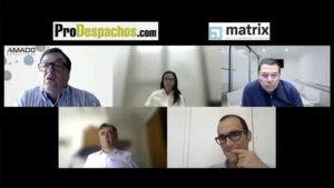 Los expertos opinan