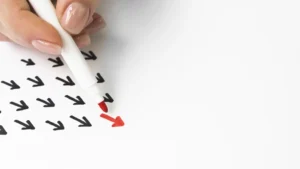 Gestión y Organización